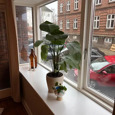 Liv Apartment *